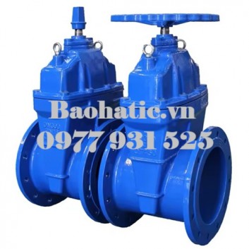 Van cổng ty chìm nắp chụp